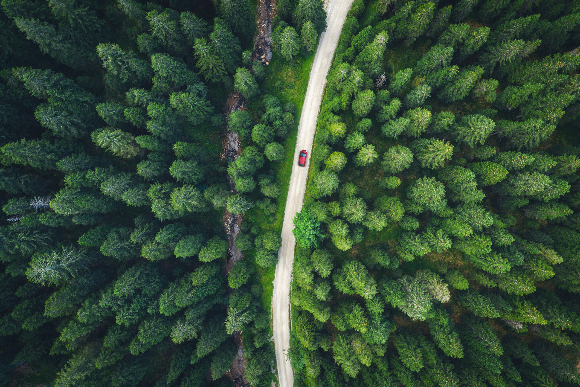 overview of green forest with road and red car