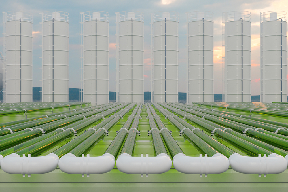renewable green energy pipelines