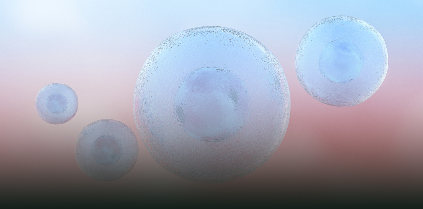 cells closeup