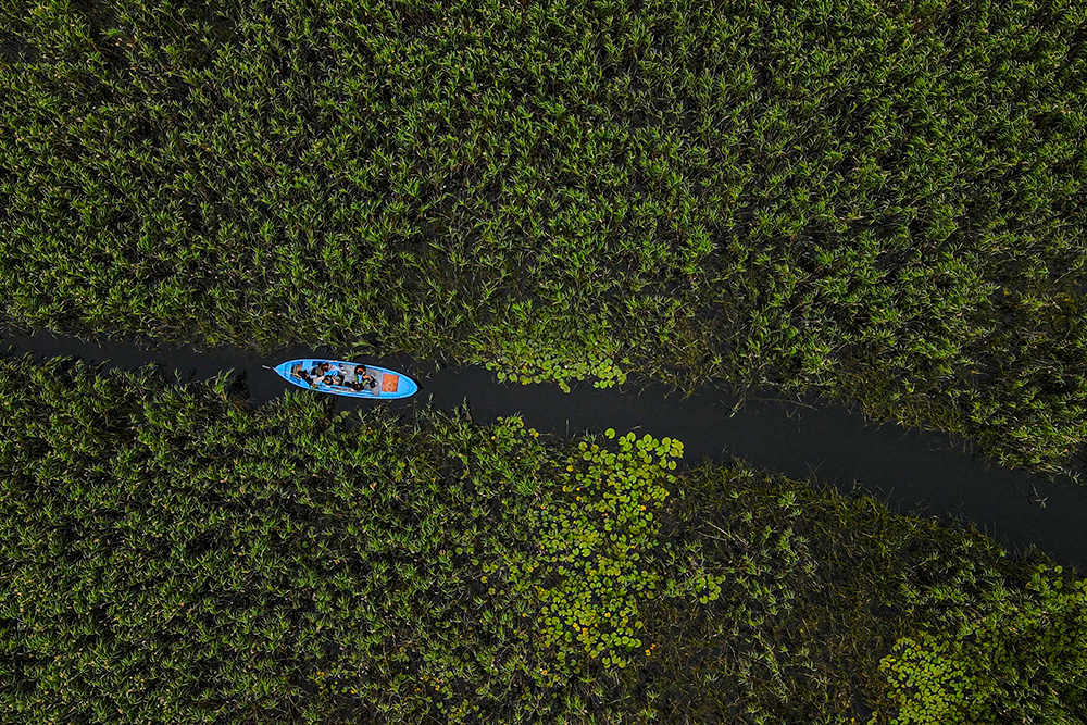 boat on river surrounded by green